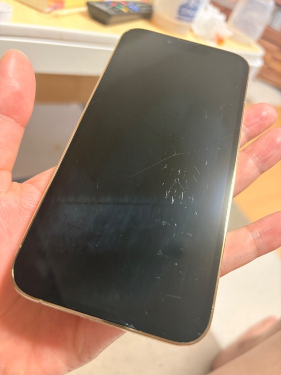 iPhone iPhone 13 Pro 256GB docomo（スマホ）の商品画像 - 査定依頼日：2026年6月25日 - 最高査定価格：55,000円