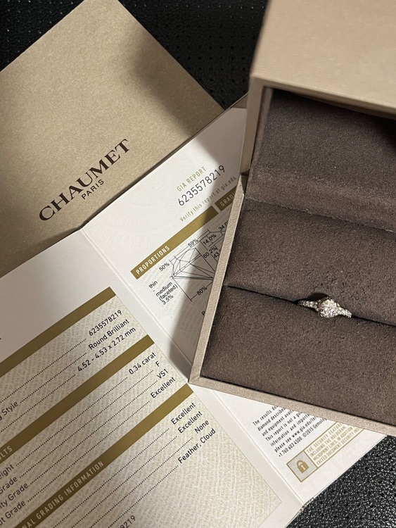 Chaumet リアンダムールPT950リング#46サイズ（金・貴金属）の商品画像 - 査定依頼日：2025年6月7日 - 最高査定価格：140,000円