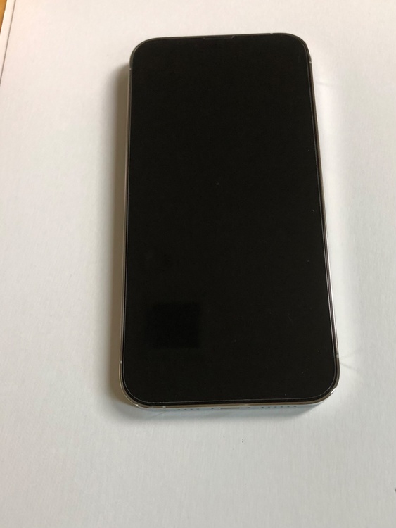 iPhone iPhone 13 Pro Max 256GB SIMフリー（スマホ）の商品画像 - 査定依頼日：2026年6月6日 - 最高査定価格：62,000円