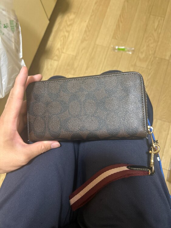 その他 コーチ （ブランドバッグ）の商品画像 - 査定依頼日：2025年6月1日 - 最高査定価格：5,000円