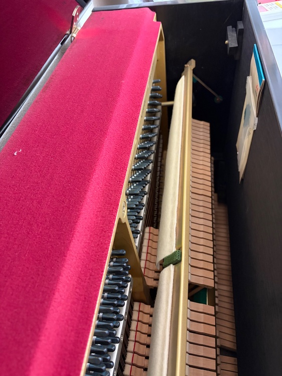 U10BI（ピアノ・楽器・PA機材）の商品画像 - 査定依頼日：2026年3月29日 - 最高査定価格：10,000円