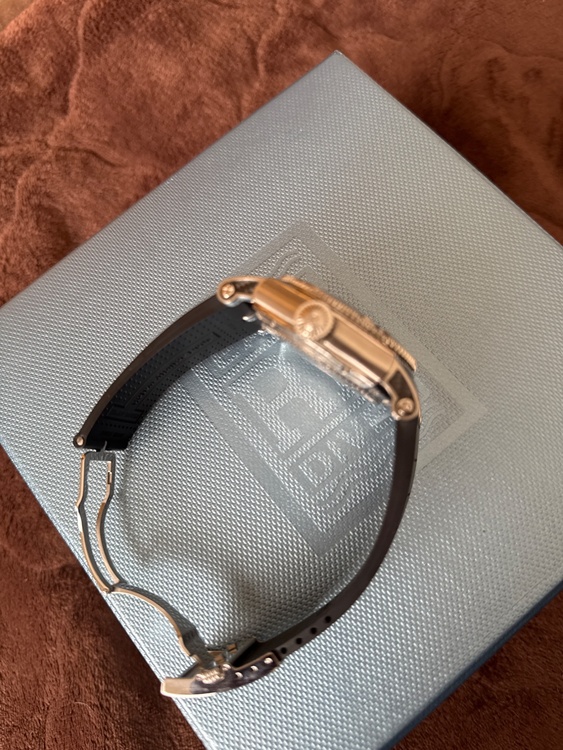 ロジェ・デュブイ イージーダイバー ＳＥ4（高級時計）の商品画像 - 査定依頼日：2026年4月3日 - 最高査定価格：100,000円