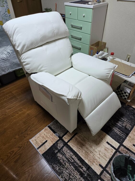 その他 その他 （ブランドバッグ）の商品画像 - 査定依頼日：2026年4月15日 - 最高査定価格：1,000円