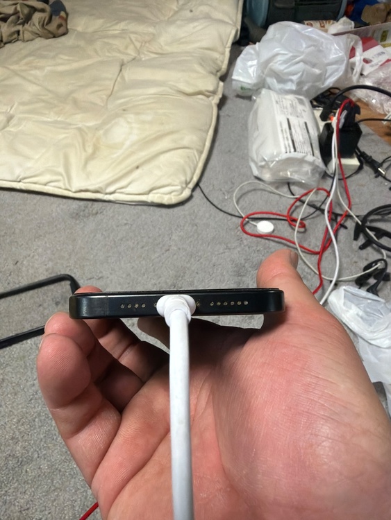 iPhone 15 Pro Max 256GB docomo（スマホ）の商品画像 - 査定依頼日：2026年3月21日 - 最高査定価格：83,000円