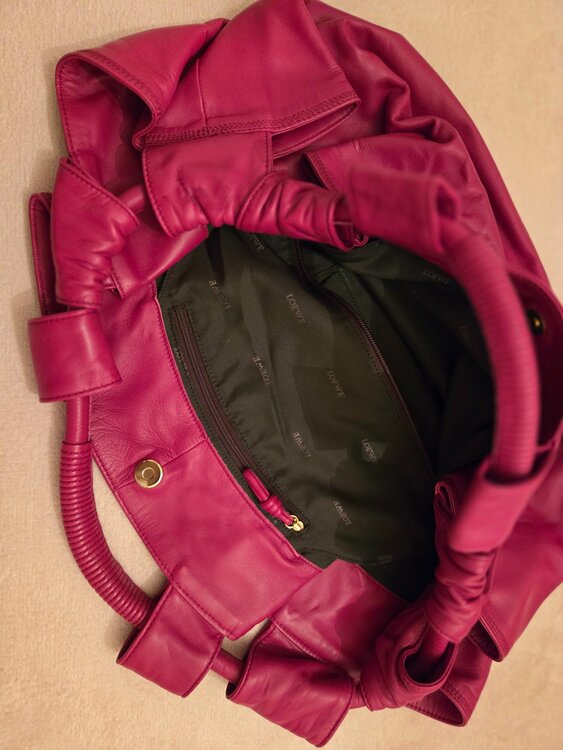 ロエベ（ブランドバッグ）の商品画像 - 査定依頼日：2026年4月7日 - 最高査定価格：25,000円