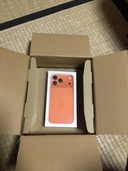 iPhone iPhone 17 Pro Max 1TB Softbank（スマホ）の商品画像 - 査定依頼日：2026年7月5日 - 最高査定価格：262,000円