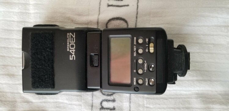 Canon EOS 1D MarkII キヤノン（カメラ）の商品画像 - 査定依頼日：2026年4月15日 - 最高査定価格：15,100円