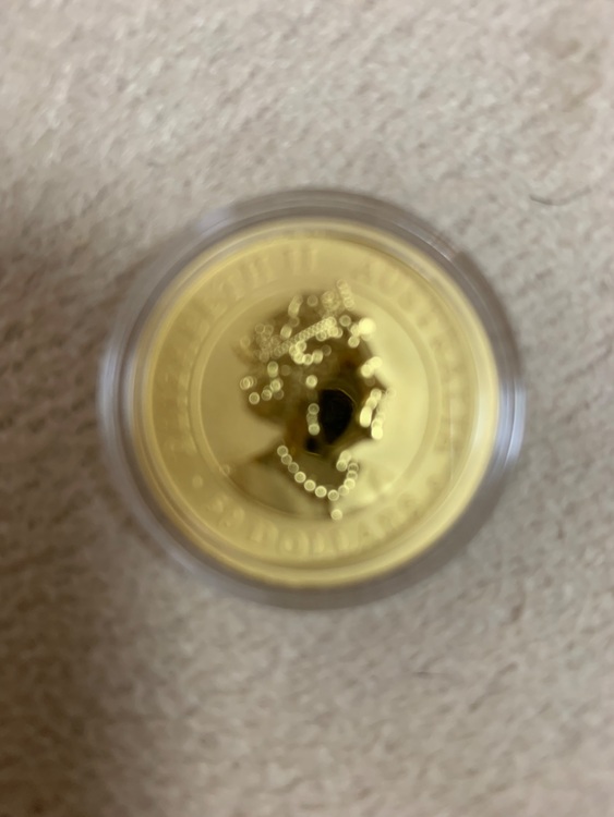 カンガルー金貨2020年1/2オンス（金・貴金属）の商品画像 - 査定依頼日：2025年9月30日 - 最高査定価格：310,000円