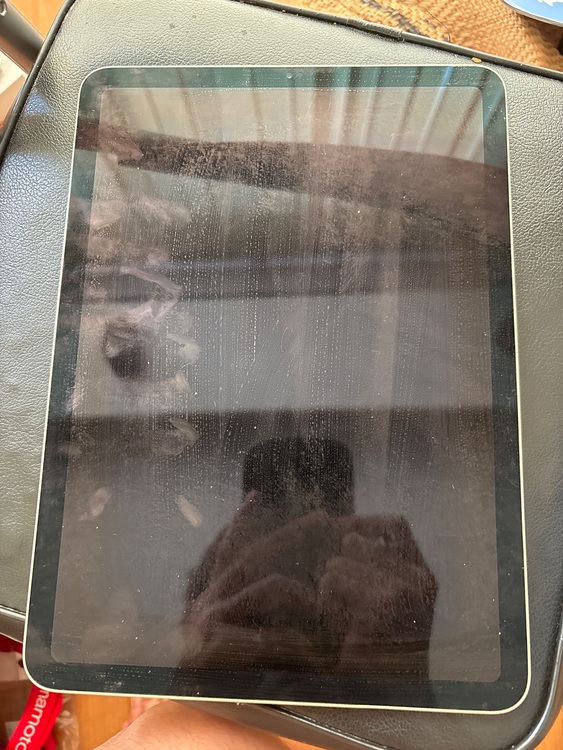 iPad Air 第4世代　256GB Wi-Fiモデル　グリーン（PC・タブレット）の商品画像 - 査定依頼日：2025年8月23日 - 最高査定価格：18,000円