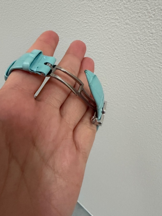 クイーンオブネイプルズ（高級時計）の商品画像 - 査定依頼日：2026年1月25日 - 最高査定価格：3,300,000円