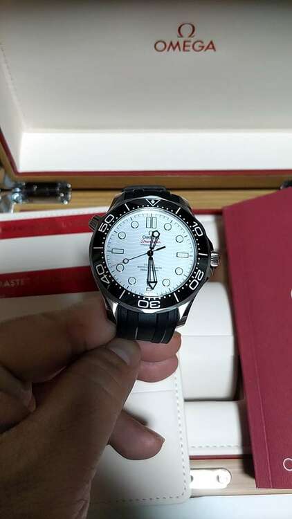 オメガ シーマスター 210.32.42.20.04.001（高級時計）の商品画像 - 査定依頼日：2025年5月13日 - 最高査定価格：630,000円