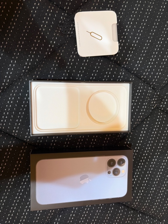 iPhone 13 Pro Max 256GB au（スマホ）の商品画像 - 査定依頼日：2026年3月31日 - 最高査定価格：51,000円