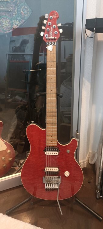 EVH シグネイチャーモデル（ピアノ・楽器・PA機材）の商品画像 - 査定依頼日：2026年8月1日 - 最高査定価格：380,000円