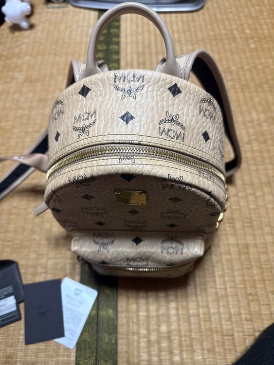 その他 その他 （ブランドバッグ）の商品画像 - 査定依頼日：2026年2月9日 - 最高査定価格：11,000円