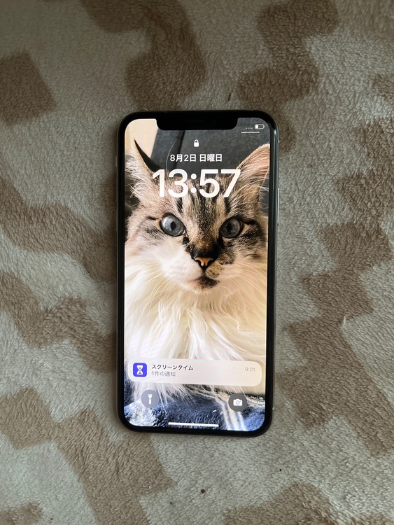 iPhone iPhone11 128GB SIMフリー（スマホ）の商品画像 - 査定依頼日：2026年8月2日 - 最高査定価格：21,000円