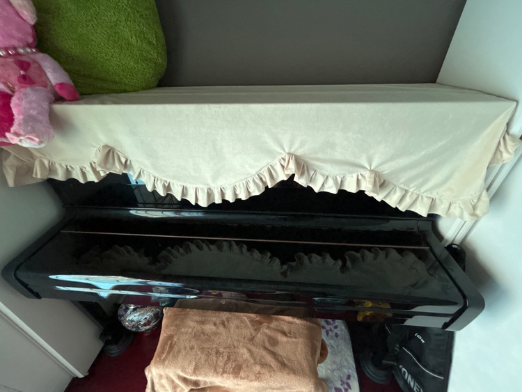 H1882390（ピアノ・楽器・PA機材）の商品画像 - 査定依頼日：2025年9月14日 - 最高査定価格：3,000円