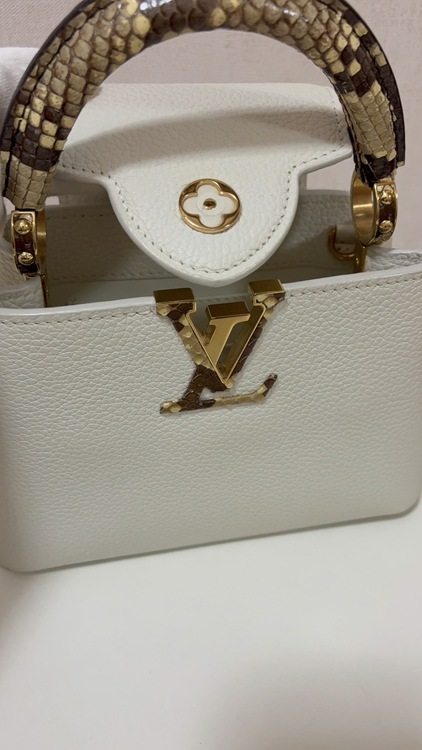 カプシーヌ　ミニ　N98477（ブランドバッグ）の商品画像 - 査定依頼日：2026年1月31日 - 最高査定価格：320,000円