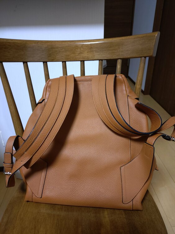 ロエベ　Tバッグパック　（ブランドバッグ）の商品画像 - 査定依頼日：2026年2月8日 - 最高査定価格：65,000円