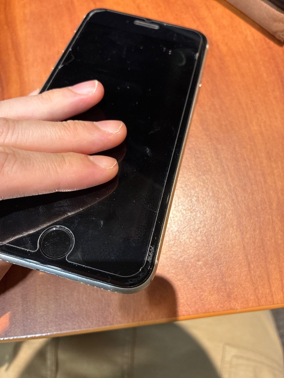 iPhone iPhone SE (第 3 世代) 128GB SIMフリー（スマホ）の商品画像 - 査定依頼日：2026年8月1日 - 最高査定価格：20,000円
