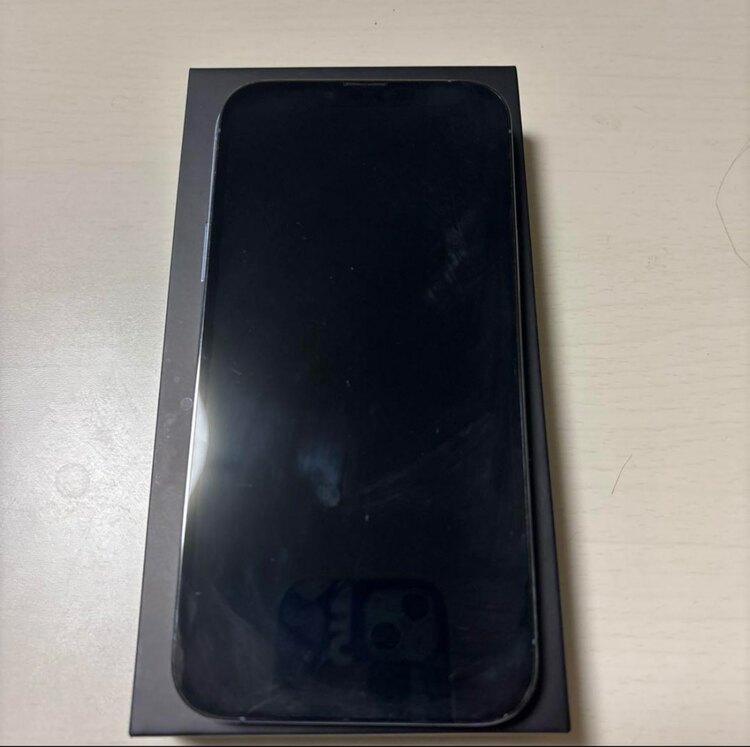 iPhone 13 Pro Max 256GB docomo（スマホ）の商品画像 - 査定依頼日：2025年1月15日 - 最高査定価格：78,000円