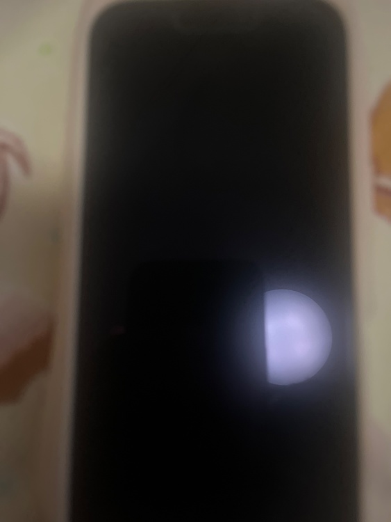 iPhone iPhone 17 256GB docomo（スマホ）の商品画像 - 査定依頼日：2026年6月25日 - 最高査定価格：98,000円