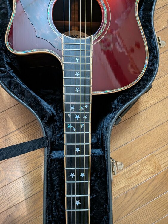 テリーズ・テリー　カジュアル　TC-M7　Cataway（ピアノ・楽器・PA機材）の商品画像 - 査定依頼日：2026年7月3日 - 最高査定価格：480,000円