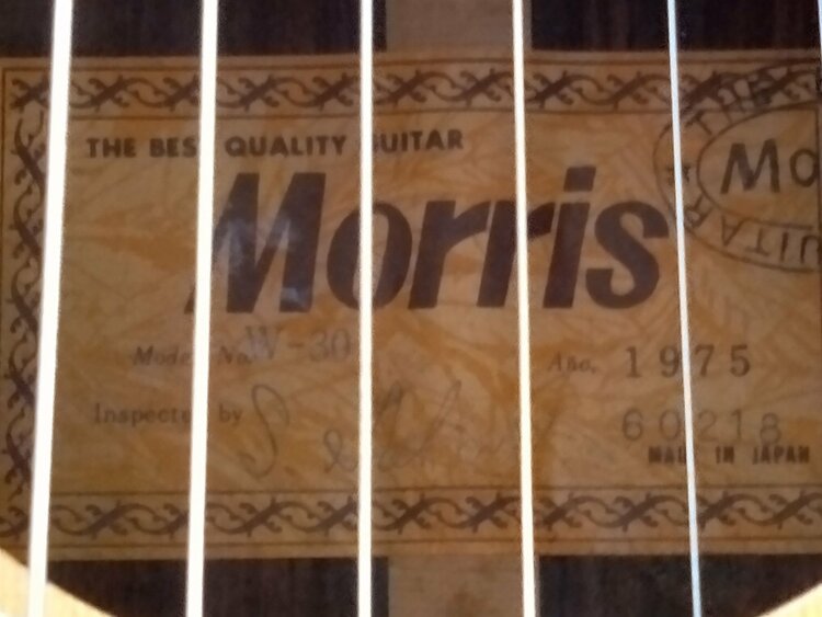 Morris（ピアノ・楽器・PA機材）の商品画像 - 査定依頼日：2026年10月1日 - 最高査定価格：6,000円