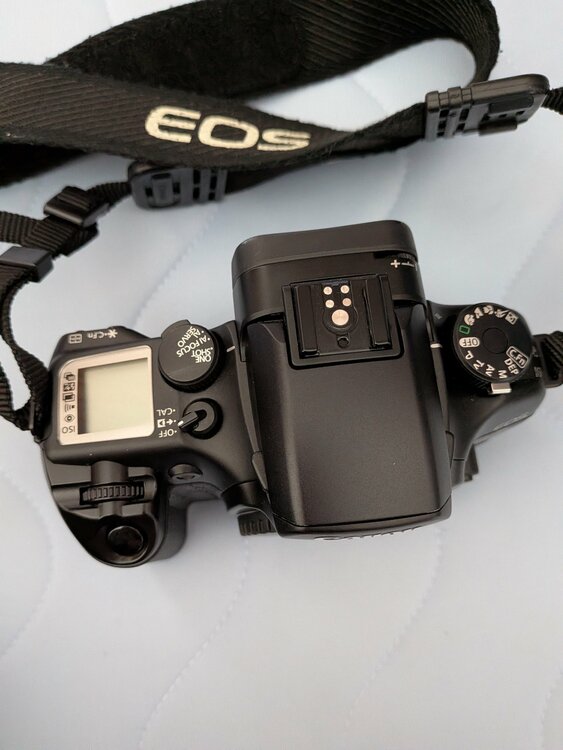 ＥＯＳ7（カメラ）の商品画像 - 査定依頼日：2026年7月31日 - 最高査定価格：15,000円