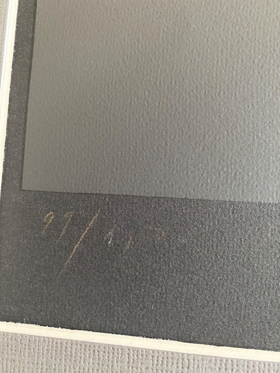 版画シルクスクリーン（美術品・骨董品）の商品画像 - 査定依頼日：2025年12月9日 - 最高査定価格：2,000円