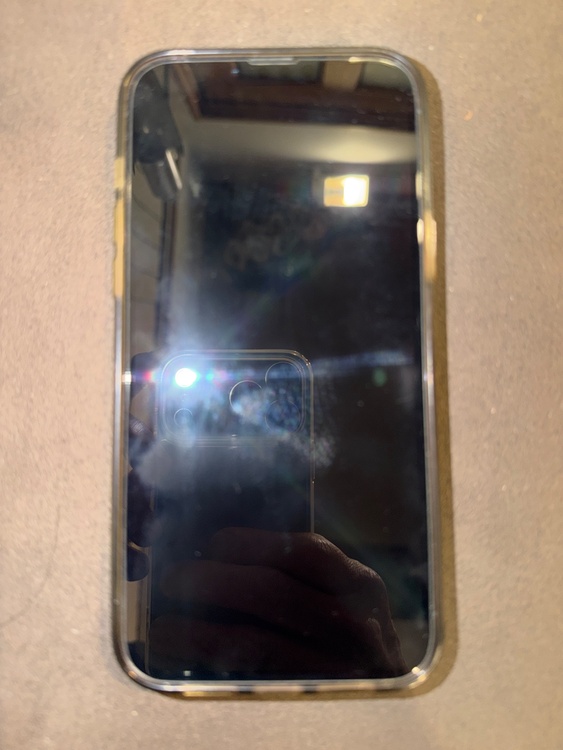 iPhone 13 Pro Max 256GB SIMフリー（スマホ）の商品画像 - 査定依頼日：2026年5月19日 - 最高査定価格：65,000円