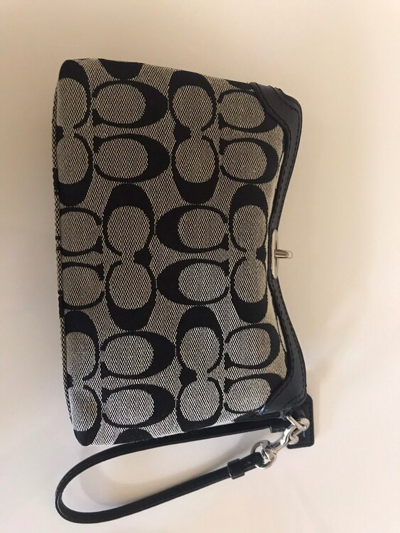 レディースポーチバッグ（ブランドバッグ）の商品画像 - 査定依頼日：2025年3月9日 - 最高査定価格：400円