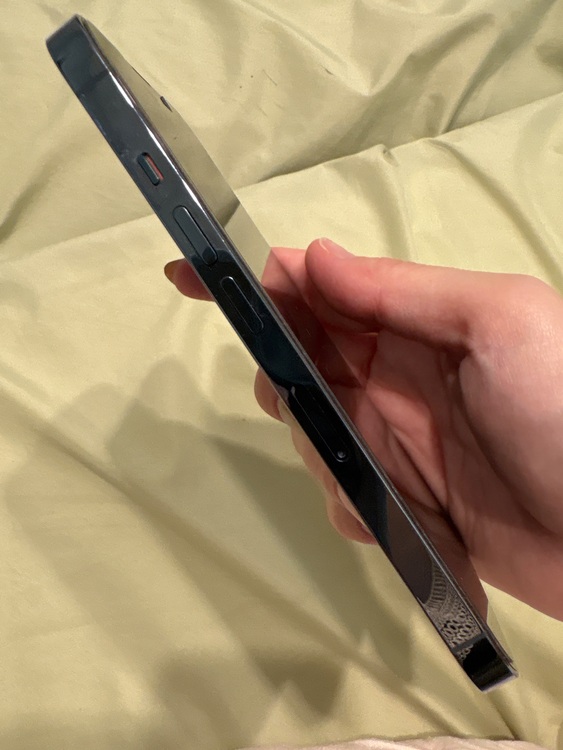 iPhone 13 Pro 256GB SIMフリー（スマホ）の商品画像 - 査定依頼日：2025年11月16日 - 最高査定価格：65,000円