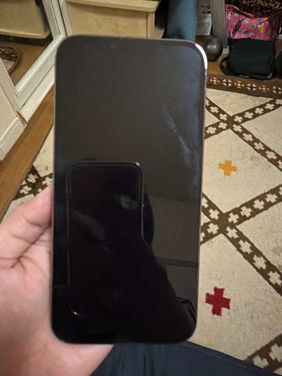 iPhone iPhone 13 Pro Max 256GB docomo（スマホ）の商品画像 - 査定依頼日：2026年7月20日 - 最高査定価格：65,000円