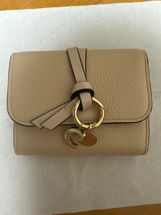 その他 クロエ （ブランドバッグ）の商品画像 - 査定依頼日：2025年6月7日 - 最高査定価格：20,000円