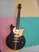 REVSTAR Series RSP20X