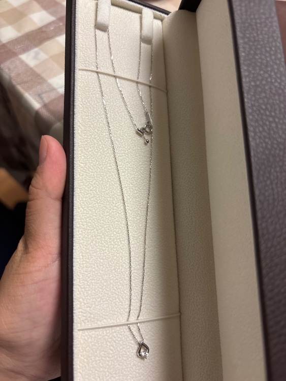 ネックレス（宝石）の商品画像 - 査定依頼日：2025年9月26日 - 最高査定価格：100,000円