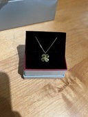 ネックレス（金・貴金属）の商品画像 - 査定依頼日：2025年12月7日 - 最高査定価格：100,000円