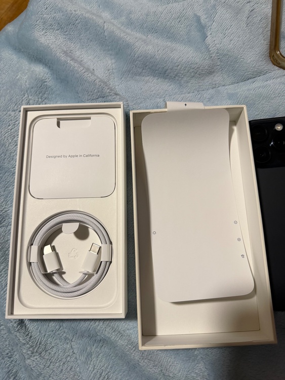 iPhone 15 Pro Max 256GB SIMフリー（スマホ）の商品画像 - 査定依頼日：2026年1月22日 - 最高査定価格：100,000円