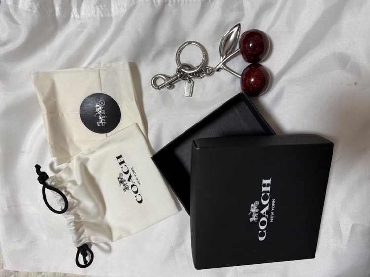 チェリーバックチャーム  縦12.5cm x 横7.5cm No. 77840（ブランド財布・小物）の商品画像 - 査定依頼日：2025年7月28日 - 最高査定価格：1,000円