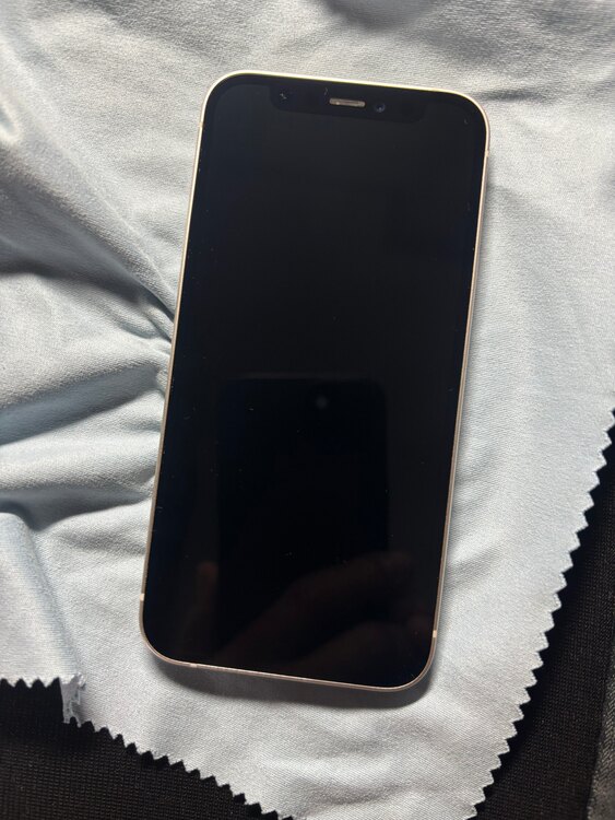 iPhone 12mini 256G（スマホ）の商品画像 - 査定依頼日：2025年4月11日 - 最高査定価格：29,000円