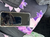 iPhone SE (第 2 世代) 128GB SIMフリー（スマホ）の商品画像 - 査定依頼日：2026年4月1日 - 最高査定価格：15,000円