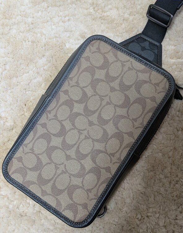 C9865（ブランドバッグ）の商品画像 - 査定依頼日：2026年3月17日 - 最高査定価格：10,000円