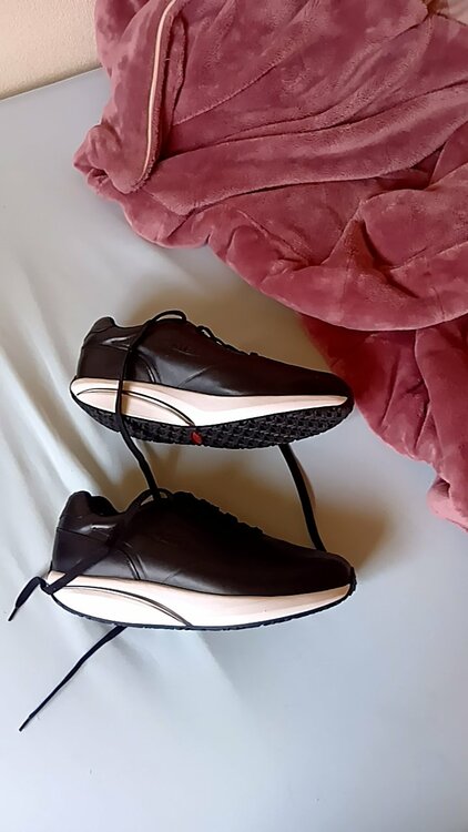 スニカー（古着・ファッション）の商品画像 - 査定依頼日：2026年2月3日 - 最高査定価格：100,000円