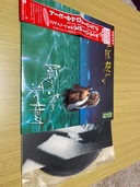 クレイジーフロムザビート/デイヴリーロス（レコード）の商品画像 - 査定依頼日：2025年10月28日 - 最高査定価格：100,000円