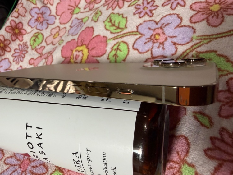 iPhone 13 Pro Max 256GB au（スマホ）の商品画像 - 査定依頼日：2026年1月25日 - 最高査定価格：61,000円