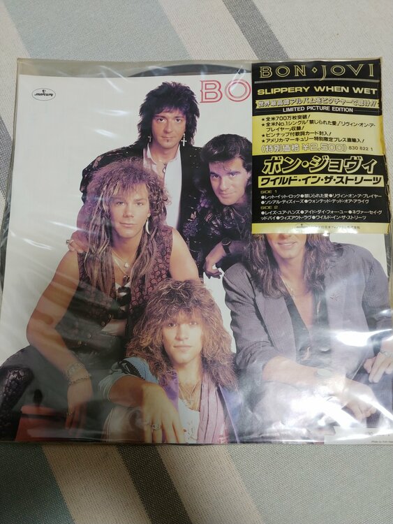 ワイルドインザストリーツ（レコード）の商品画像 - 査定依頼日：2026年9月17日 - 最高査定価格：1,000円