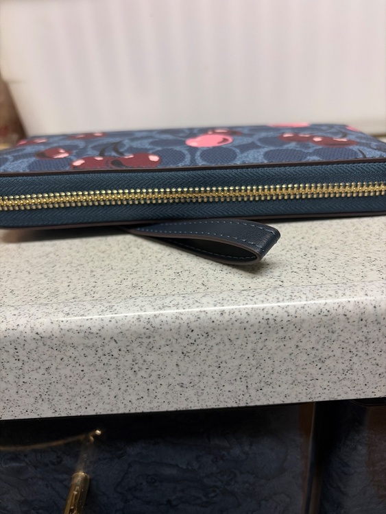 その他 コーチ （ブランドバッグ）の商品画像 - 査定依頼日：2026年4月7日 - 最高査定価格：3,000円