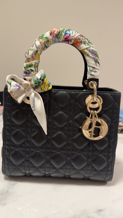 レディディオールミディアム M0565（ブランドバッグ）の商品画像 - 査定依頼日：2025年2月19日 - 最高査定価格：470,000円