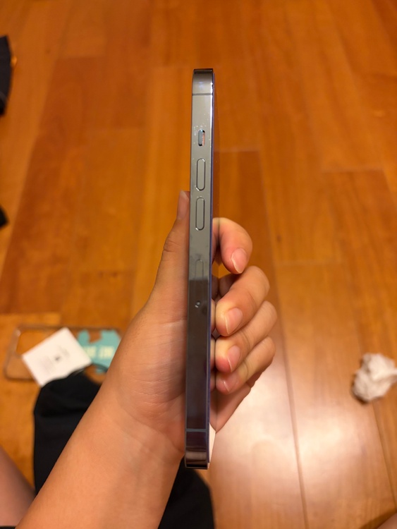 iPhone iPhone 13 Pro 256GB SIMフリー（スマホ）の商品画像 - 査定依頼日：2026年9月16日 - 最高査定価格：48,500円