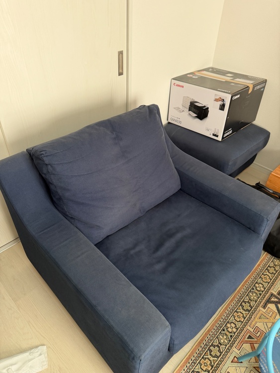 NOYES 一人がけソファー、オットマン（家具・寝具）の商品画像 - 査定依頼日：2026年3月2日 - 最高査定価格：3,000円